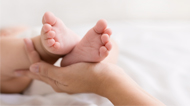 Seminario. Nueva regulación de la Prestación por Nacimiento y Cuidado del Menor